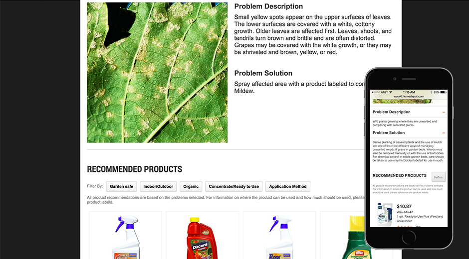 Home Depot Chemical Solutions - Image 2